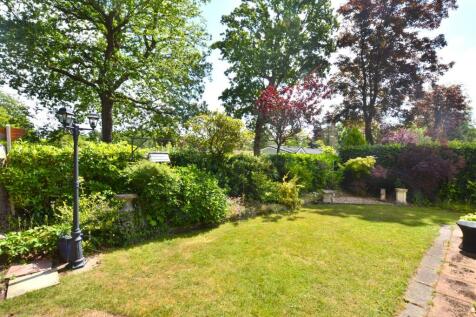 Garden .JPG