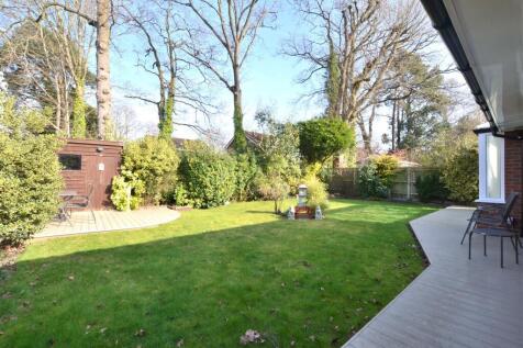 Garden 4.JPG