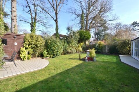 Garden 8.JPG