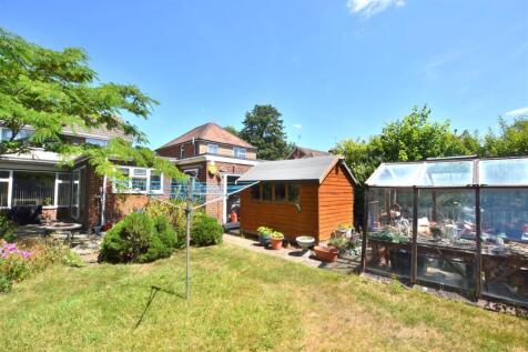 Garden 2 .JPG