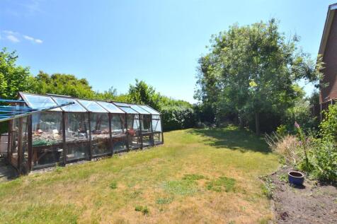 Garden 4.JPG