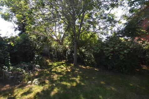 Garden 5.JPG