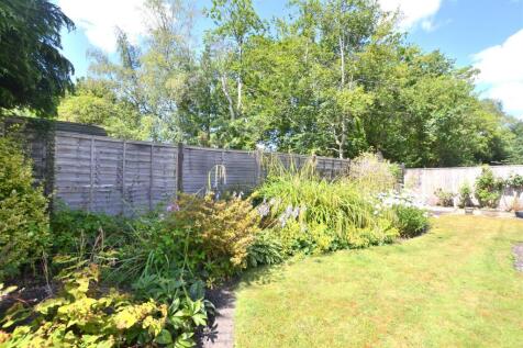 Garden 3.JPG