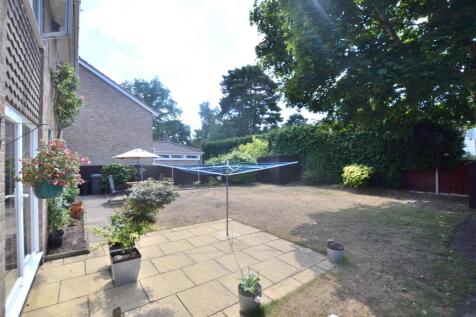 Garden.JPG