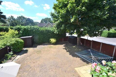 Garden 4.JPG
