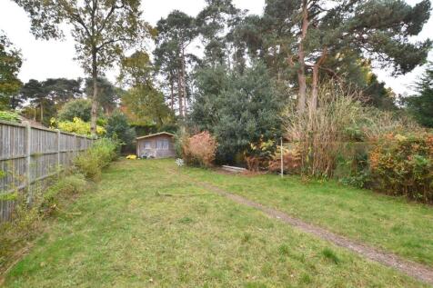 Garden.JPG