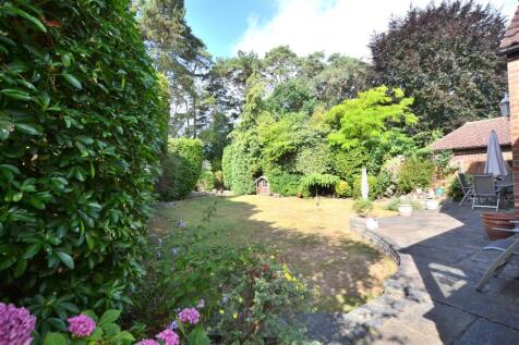 Garden.JPG
