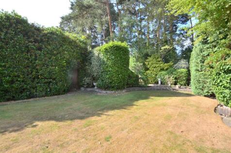 Garden 3.JPG