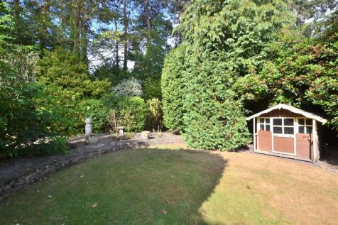Garden 4.JPG