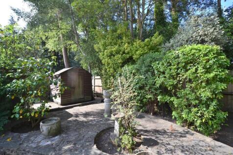 Garden 5.JPG