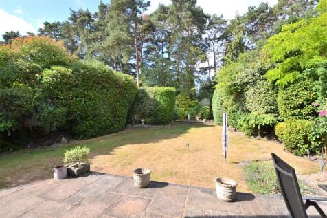 Garden 9.JPG
