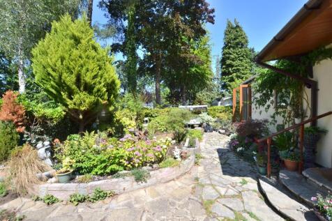 Garden.JPG