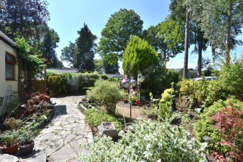 Garden 1.JPG