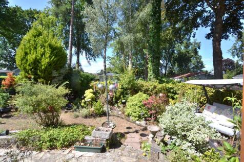 Garden 4.JPG