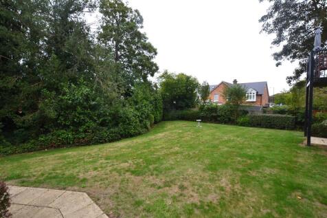 Garden 2 .JPG