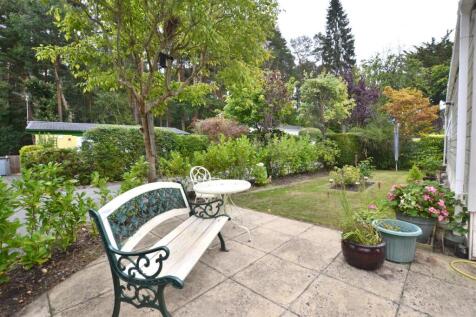 Garden.JPG