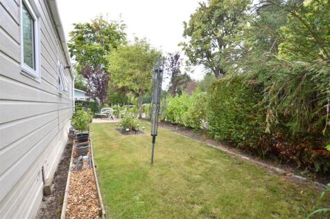 Garden 3.JPG