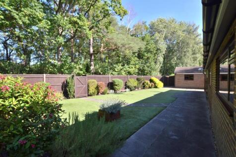 Garden 1.JPG
