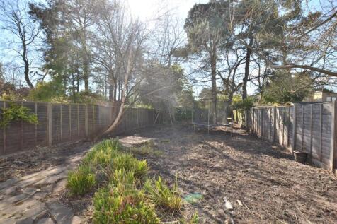 Garden 1.JPG