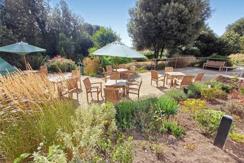 Communal Garden