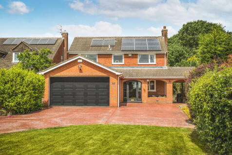 Property Image 32