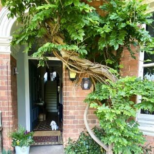 Property Image 28