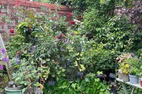 Property Image 20