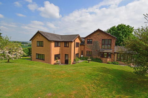 Property Image 49