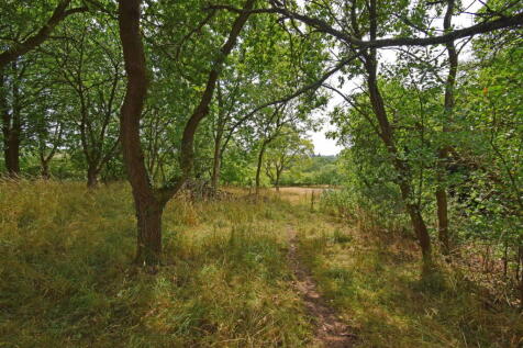Property Image 32