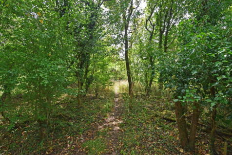 Property Image 34