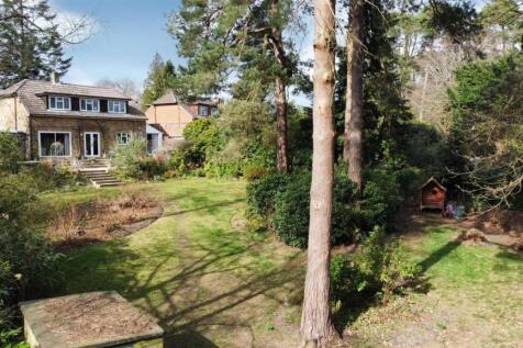 Garden.jpg