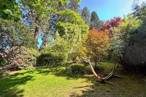 Garden2.jpg