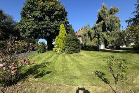 Photo 38