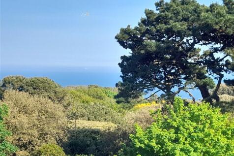 View From Balcony