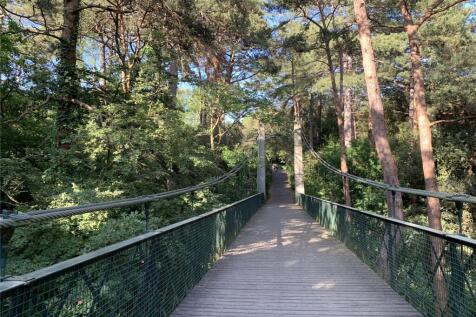 Bridge At Alum Chine