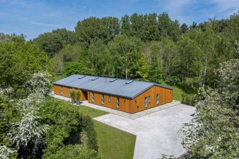 DJI_0151.jpg