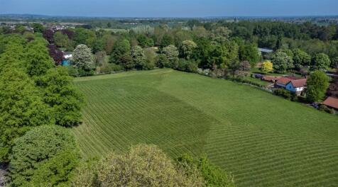 DJI_0121.jpg