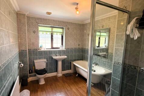 Family Bath/Shower