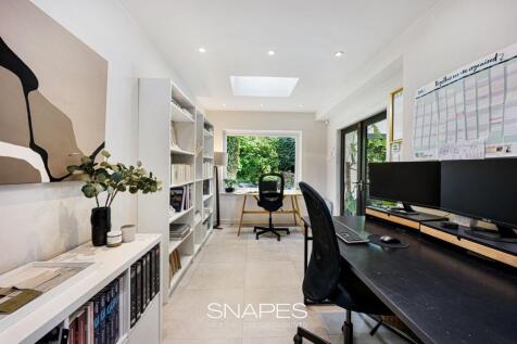 Home Office / Reception Room