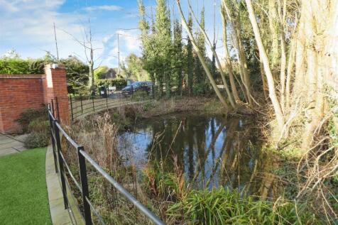 Pond Views
