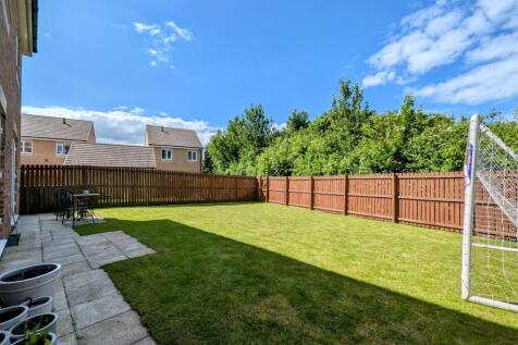 Property Image 51