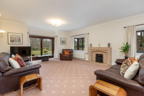 Family Room / Gym