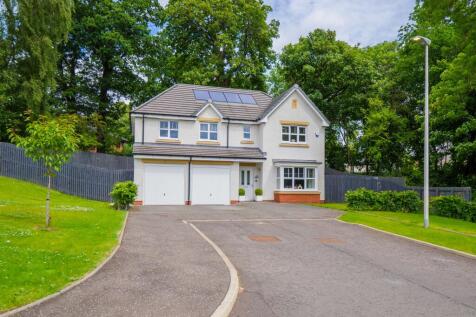 Property Image 49