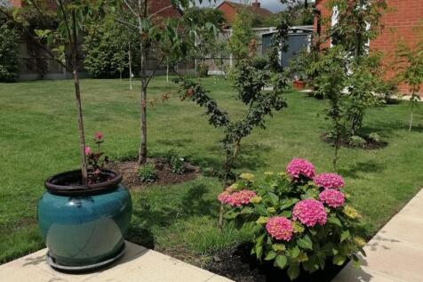 Property Image 25