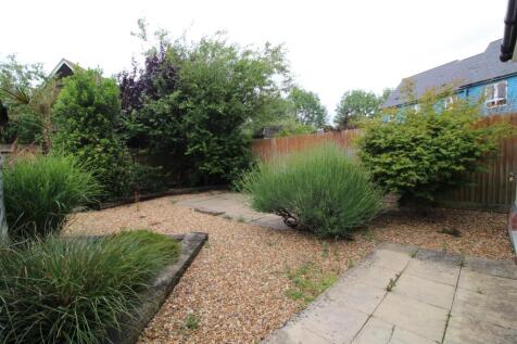 Garden.JPG