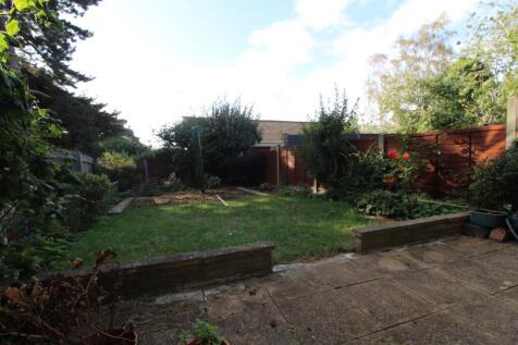 Garden.JPG