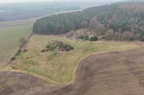 dji_fly_20240307_105822_0004_1709809632865_photo.j