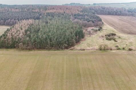 dji_fly_20240307_105920_0005_1709809632581_photo.j