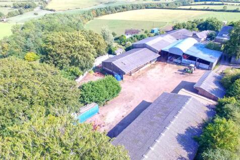 DJI_0237.jpg
