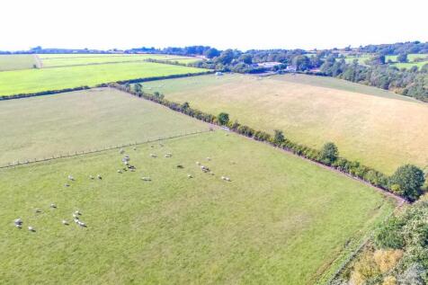 DJI_0248.jpg